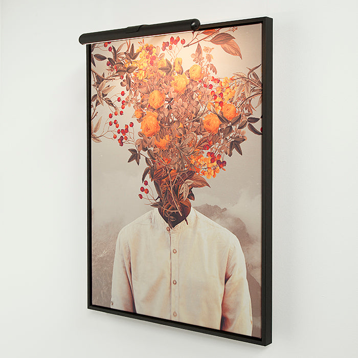 7/8/8/b/788b548aa57d703b379e40215ae8b46d2124fedf_VA60230S_STAS_solis_picturemounting_black_8_LR.jpg