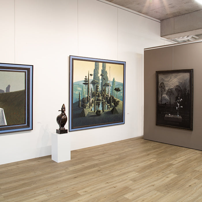 STAS cliprail pro + kit d'installazione: sistema elegante e sicuro per le tue opere d'arte pesanti.