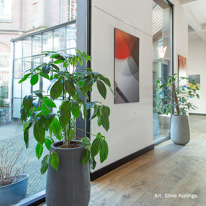 STAS cliprail + kit d'installazione: opzione pratico ed elegante per i tuoi quadri.
