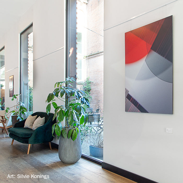STAS cliprail + kit d'installazione: binario cliprail pratico per decorare pareti senza danni.