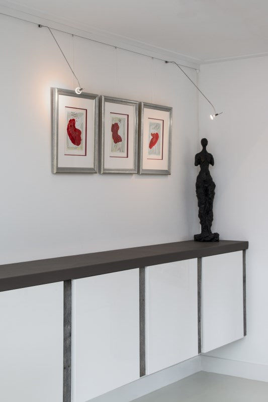 STAS multirail max 200 cm con adattatori e armature.