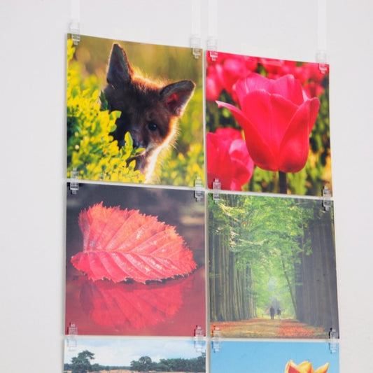 STAS picture hits: appendere foto facilmente, sistema versatile per casa o ufficio.